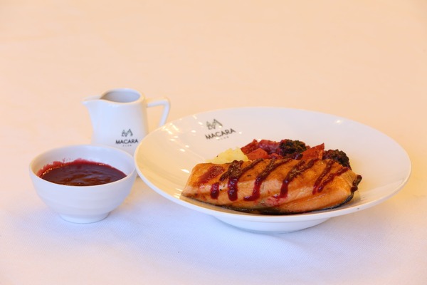 Salmon Izqara